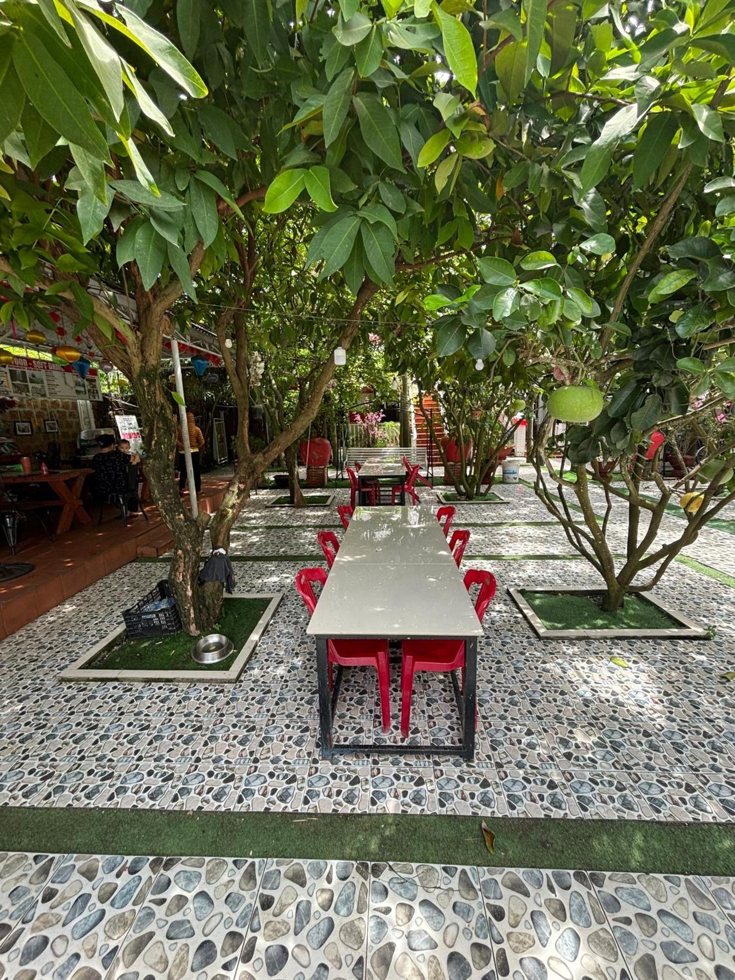 Red House Homestay - Villa Hoi An Zewnętrze zdjęcie